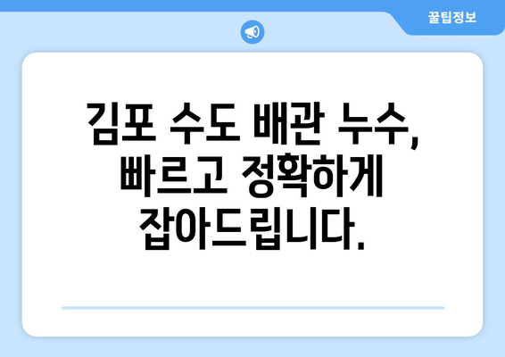 김포 수도 배관 누수, 신속하고 전문적인 교체로 해결하세요! | 누수 탐지, 배관 수리, 긴급 출장