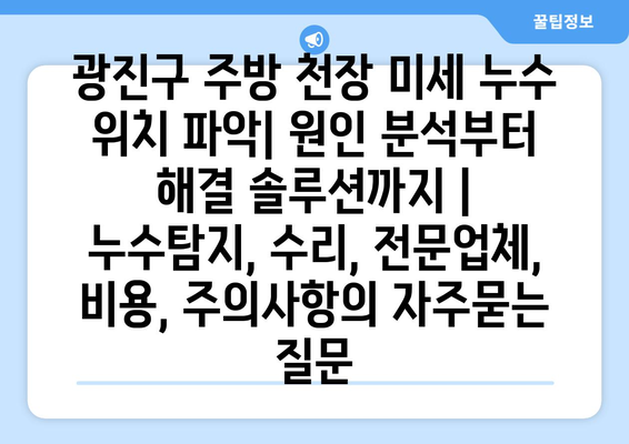 광진구 주방 천장 미세 누수 위치 파악| 원인 분석부터 해결 솔루션까지 | 누수탐지, 수리, 전문업체, 비용, 주의사항