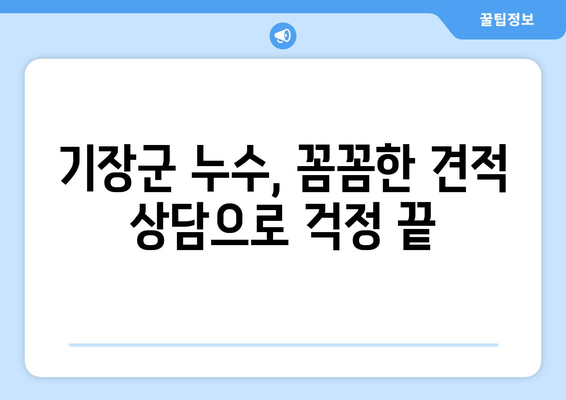 기장군 누수 해결, 믿을 수 있는 업체 찾기| 전문가 추천 & 비용 가이드 | 누수 탐지, 누수 수리, 배관 공사,  견적 상담