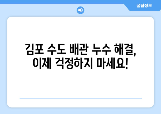 김포 수도 배관 누수, 신속하고 전문적인 교체로 해결하세요! | 누수 탐지, 배관 수리, 긴급 출장