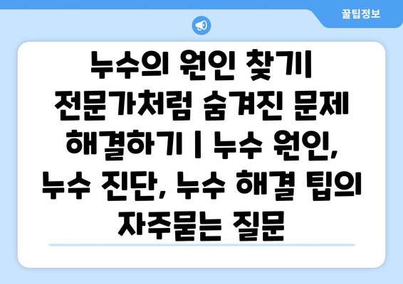 누수의 원인 찾기| 전문가처럼 숨겨진 문제 해결하기 | 누수 원인, 누수 진단, 누수 해결 팁