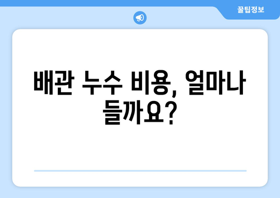 변기 바닥 물 누출 해결| 건물 배관 누수 문제 완벽 가이드 | 누수 원인, 해결 방법, 비용, 주의 사항