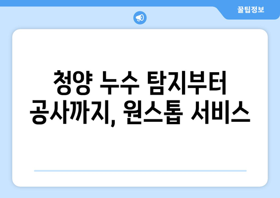 청양 누수 걱정 끝! 누수 전문 업체와 안심 복구까지 | 청양 누수탐지, 누수공사, 믿을 수 있는 업체 추천