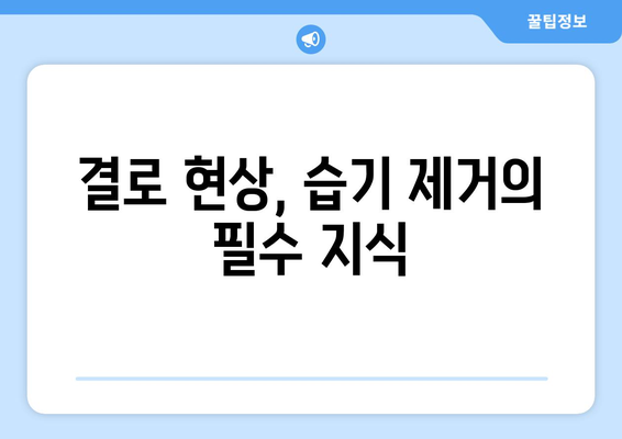 방수, 누수, 결로| 건물 유지 관리의 필수 지식 | 건축, 습기, 문제 해결, 관리 팁