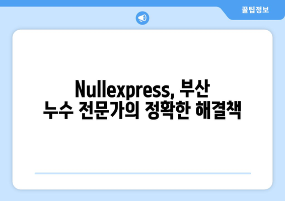 부산 누수 걱정 끝! Nullexpress, 정확한 누수 해결 전문 | 부산 누수, 누수 공사, 누수탐지, 배관 공사, 워터 해머, 누수 견적, 누수 수리, 부산 누수 전문