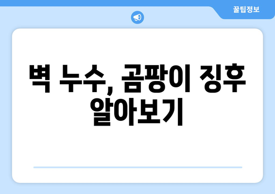 벽에 곰팡이와 습기? 벽 누수의 은밀한 신호 5가지 | 누수 징후, 곰팡이 제거, 습도 관리