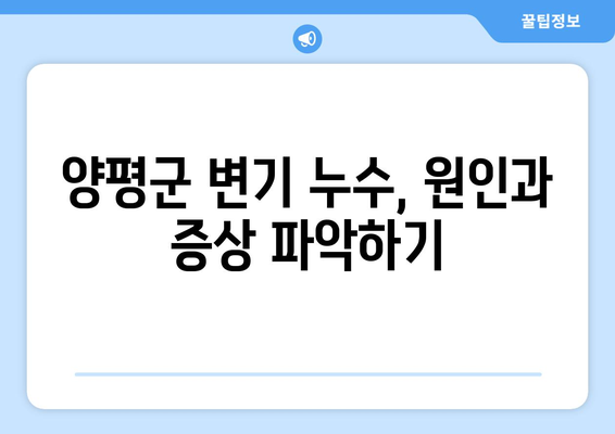 양평군 변기 누수 탐지| 물 누수 문제 해결 가이드 | 누수 원인, 탐지 방법, 전문 업체 추천