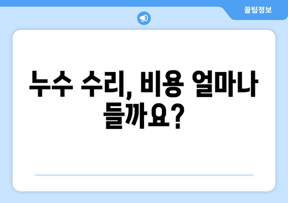 변기 누수, 수도관 파열, 수도 검침 문제 해결 가이드 | 누수 탐지, 수리, 비용, 주의 사항