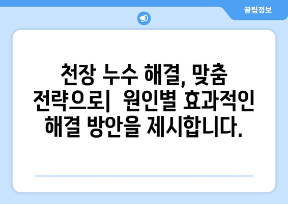 매월 천장 누수, 원인 잡는 지속적인 해결 전략 | 누수 원인 분석, 해결 방법, 예방 가이드