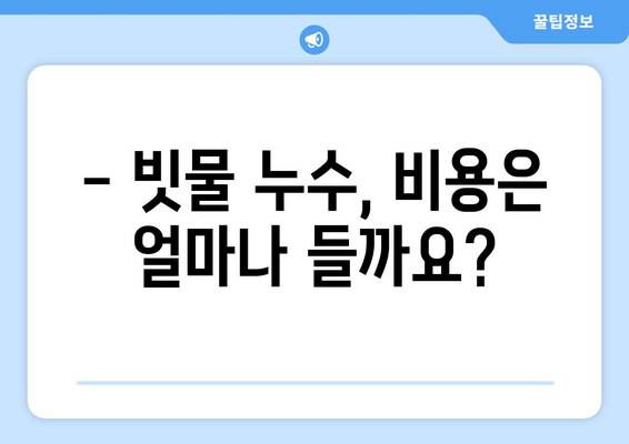 하수관 누수 해결| 빗물 누수의 문제 종식 | 빗물 유입, 누수 원인, 해결 방법, 비용, 주의 사항