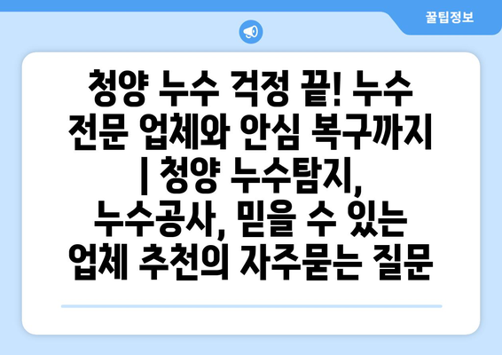 청양 누수 걱정 끝! 누수 전문 업체와 안심 복구까지 | 청양 누수탐지, 누수공사, 믿을 수 있는 업체 추천