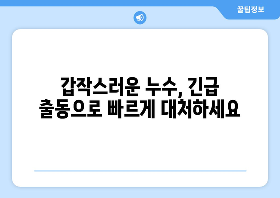 누수 응급 상황, 신뢰할 수 있는 전문 업체와 함께 해결하세요! | 누수, 응급, 전문 업체, 긴급 수리, 24시간 출동