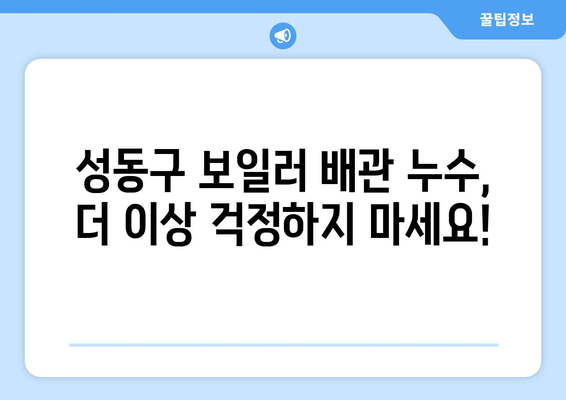 성동구 보일러 배관 누수, 빠르고 정확하게 해결하세요! | 누수 확인, 차단, 전문 업체 추천