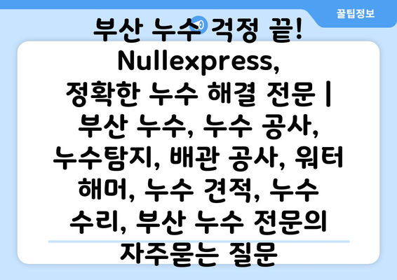 부산 누수 걱정 끝! Nullexpress, 정확한 누수 해결 전문 | 부산 누수, 누수 공사, 누수탐지, 배관 공사, 워터 해머, 누수 견적, 누수 수리, 부산 누수 전문