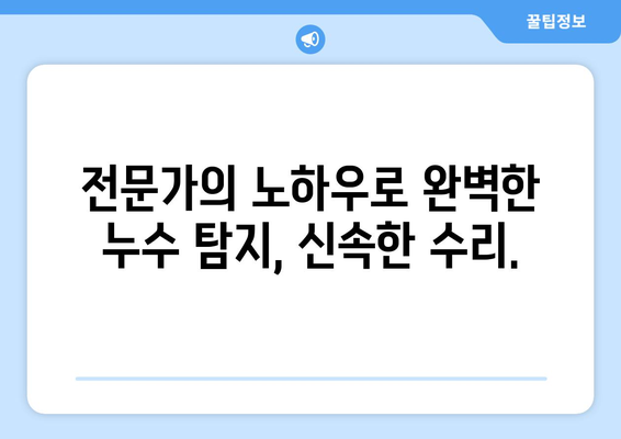 김포 수도 배관 누수, 신속하고 전문적인 교체로 해결하세요! | 누수 탐지, 배관 수리, 긴급 출장