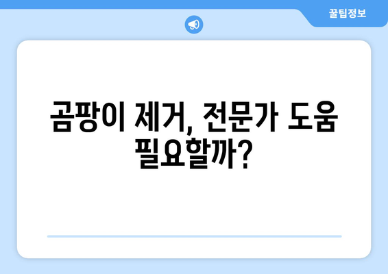 벽에 곰팡이와 습기? 벽 누수의 은밀한 신호 5가지 | 누수 징후, 곰팡이 제거, 습도 관리