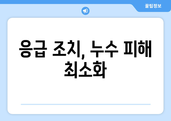 천장 누수, 원인부터 해결까지! 신속 대처 가이드 | 누수 판단, 원인 분석, 응급조치, 전문가 도움