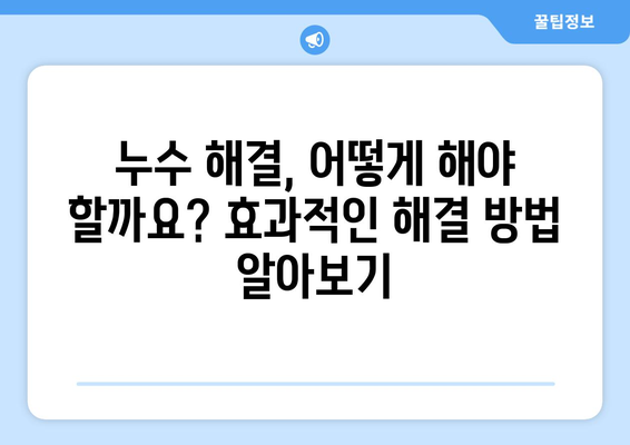 지속적인 누수, 이제 전문가의 조언으로 해결하세요! | 누수 원인 분석, 해결 방법, 전문가 추천