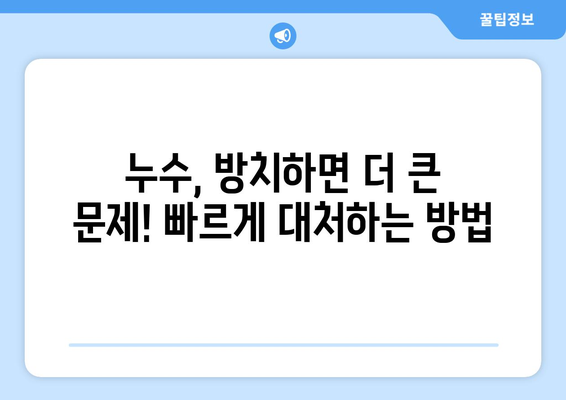 지속적인 누수, 이제 그만! 집주인을 위한 비용 효율적인 해결책 가이드 | 누수 원인, 해결 방법, 비용 절감 팁