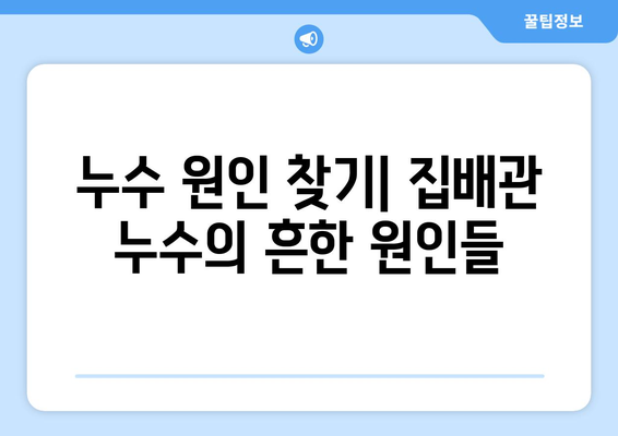 부산 집배관 누수 잡는 완벽 가이드 | 누수탐지, 원인 분석, 해결방법, 전문업체 추천