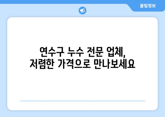 연수구 누수 걱정 끝! 합리적인 가격으로 완벽 해결 | 누수탐지, 누수공사, 전문업체, 저렴한 가격