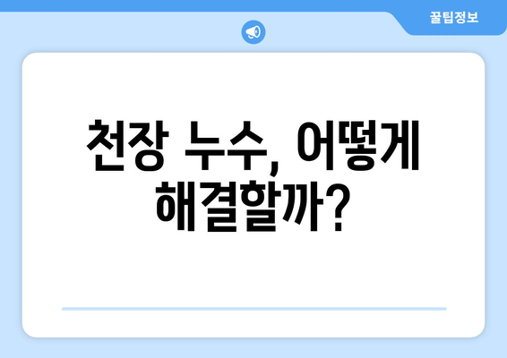 천장 누수, 원인부터 해결까지! 신속 대처 가이드 | 누수 판단, 원인 분석, 응급조치, 전문가 도움