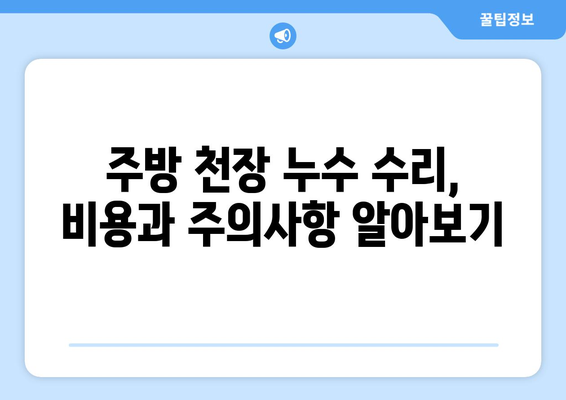 광진구 주방 천장 미세 누수 위치 파악| 원인 분석부터 해결 솔루션까지 | 누수탐지, 수리, 전문업체, 비용, 주의사항