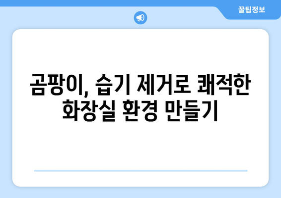 천안 화장실 방수층 손상, 영구적인 해결책 찾기 | 누수, 곰팡이, 습기 제거, 전문 시공