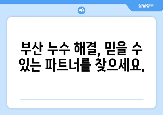 부산 누수 문제, 이렇게 해결하세요| 누수 전문 업체 선택부터 완벽한 처리까지 | 누수, 부산, 업체, 해결, 가이드