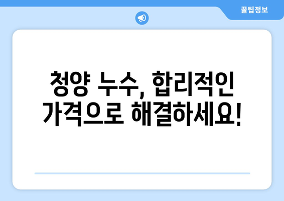 청양 누수 걱정 끝! 누수 전문 업체와 안심 복구까지 | 청양 누수탐지, 누수공사, 믿을 수 있는 업체 추천