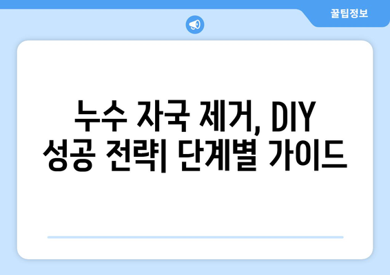 누수 자국 제거, DIY vs. 전문가| 수리비 절감 가이드 | 누수, 수리, DIY, 전문가, 비용, 팁