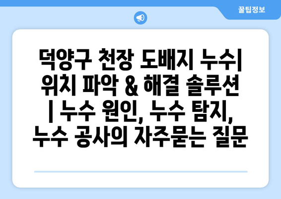 덕양구 천장 도배지 누수| 위치 파악 & 해결 솔루션 | 누수 원인, 누수 탐지, 누수 공사