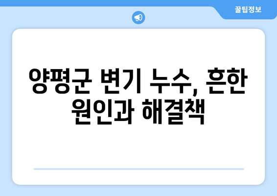 변기 물 누수 원인 탐색| 양평군 지역 특성 고려한 해결 가이드 | 변기 누수, 양평군, 누수 원인, 해결 방법