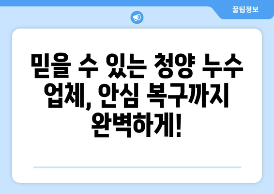 청양 누수 걱정 끝! 누수 전문 업체와 안심 복구까지 | 청양 누수탐지, 누수공사, 믿을 수 있는 업체 추천