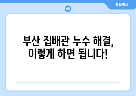 부산 집배관 누수 잡는 완벽 가이드 | 누수탐지, 원인 분석, 해결방법, 전문업체 추천