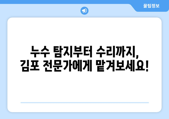 아파트 화장실 누수, 이제 걱정 끝! 김포 누수 탐지 전문가와 해결 방법 알아보기 | 누수, 탐지, 수리, 김포, 아파트