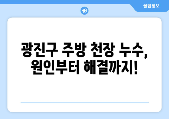 광진구 주방 천장 미세 누수, 이렇게 해결하세요! | 누수 원인, 해결 방법, 전문 업체 추천