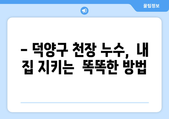 덕양구 천장 도배지 누수, 이렇게 해결하세요! | 누수 원인,  조치 방법, 전문 업체 추천