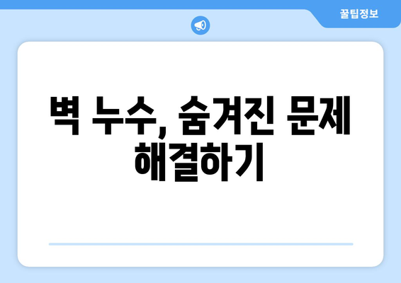 벽에 곰팡이와 습기? 벽 누수의 은밀한 신호 5가지 | 누수 징후, 곰팡이 제거, 습도 관리