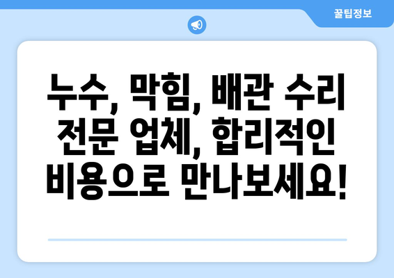 대전 누수 탐지 & 하수구 막힘 해결| 전문가가 알려주는 문제 해결 가이드 | 누수, 막힘, 배관, 수리, 전문업체, 비용