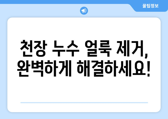 천안 천장 누수 해결, 믿을 수 있는 업체 찾기| 얼룩 제거부터 원인 파악까지 | 천안 누수, 천장 누수, 누수 공사, 누수 전문 업체