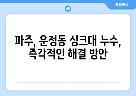 파주 하수구 막힘, 운정동 변기 막힘, 싱크대 누수 해결| 즉각적인 해결 방안 및 전문 업체 추천 | 파주, 운정동, 배관, 누수, 막힘, 긴급 출장, 24시간