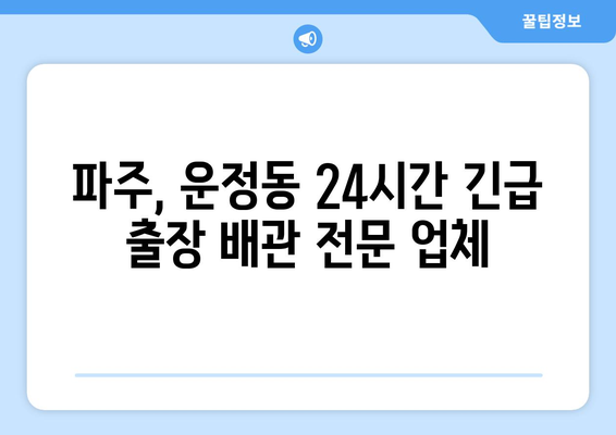 파주 하수구 막힘, 운정동 변기 막힘, 싱크대 누수 해결| 즉각적인 해결 방안 및 전문 업체 추천 | 파주, 운정동, 배관, 누수, 막힘, 긴급 출장, 24시간