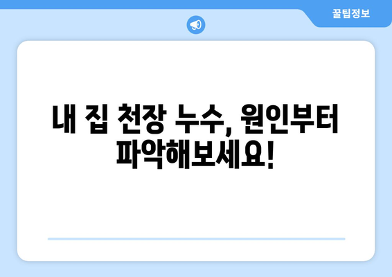 천장누수, 변기배관 수리, 시공 시설| 꼼꼼하게 알아보는 해결 가이드 | 누수 원인, 수리 방법, 시공 비용 비교