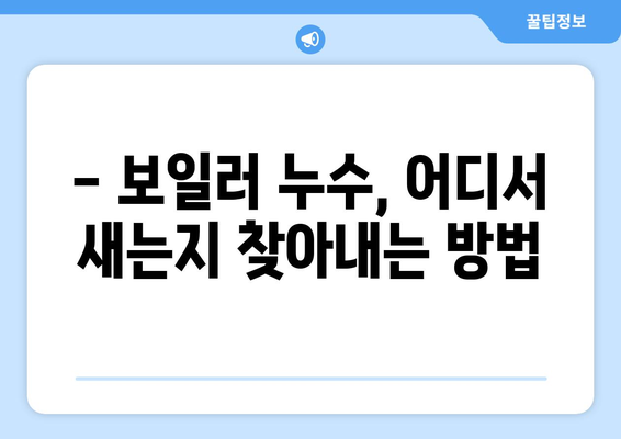 보일러 누수, 잡는 즉시 해결! 탐지부터 수리까지 완벽 가이드 | 보일러 누수 탐지, 보일러 누수 수리, 보일러 고장, 겨울철 보일러 관리