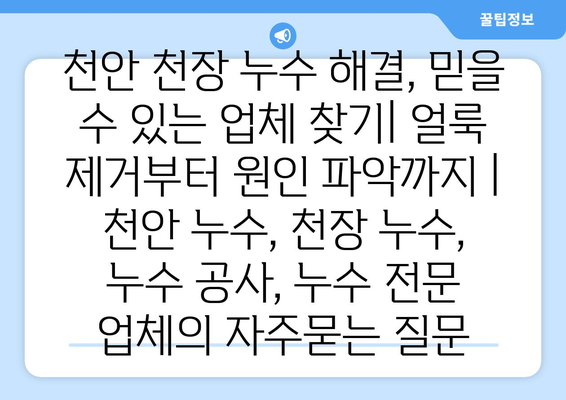 천안 천장 누수 해결, 믿을 수 있는 업체 찾기| 얼룩 제거부터 원인 파악까지 | 천안 누수, 천장 누수, 누수 공사, 누수 전문 업체