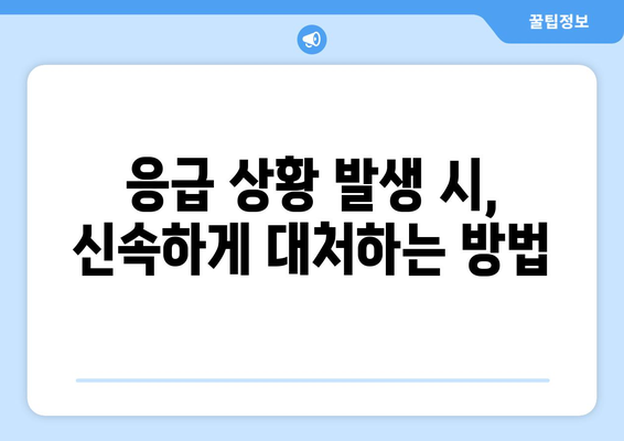 신속한 대응! 건강과 집을 지키는 5가지 방법 | 응급 상황, 안전, 예방, 대처법