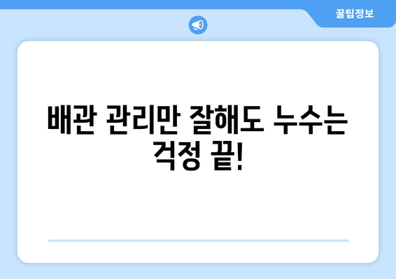 화장실 누수, 이제는 걱정 뚝! 5가지 예방 팁 | 화장실 누수, 누수 예방, 배관 관리, 욕실 관리