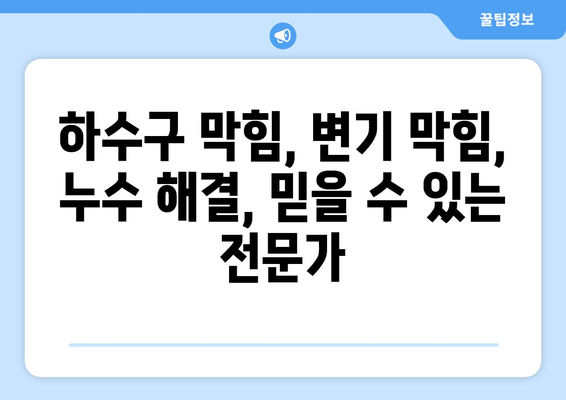 파주 하수구 막힘, 운정동 변기 막힘, 싱크대 누수 해결| 즉각적인 해결 방안 및 전문 업체 추천 | 파주, 운정동, 배관, 누수, 막힘, 긴급 출장, 24시간