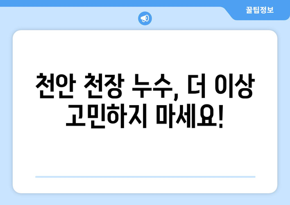 천안 천장 누수 해결, 믿을 수 있는 업체 찾기| 얼룩 제거부터 원인 파악까지 | 천안 누수, 천장 누수, 누수 공사, 누수 전문 업체